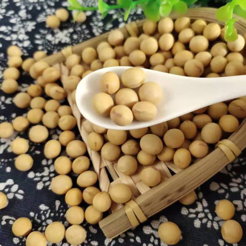 黄大豆香口感纯正的纯手工放心腐竹