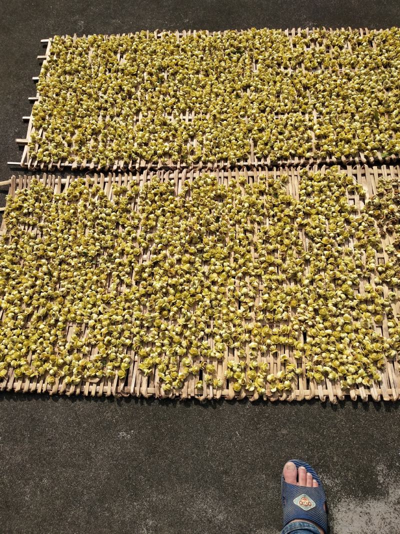 野生金花茶有需要的联系我