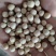 豌豆黄豌豆进口干豌豆颗粒饱满质量好价格美丽