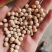 豌豆黄豌豆进口干豌豆颗粒饱满质量好价格美丽