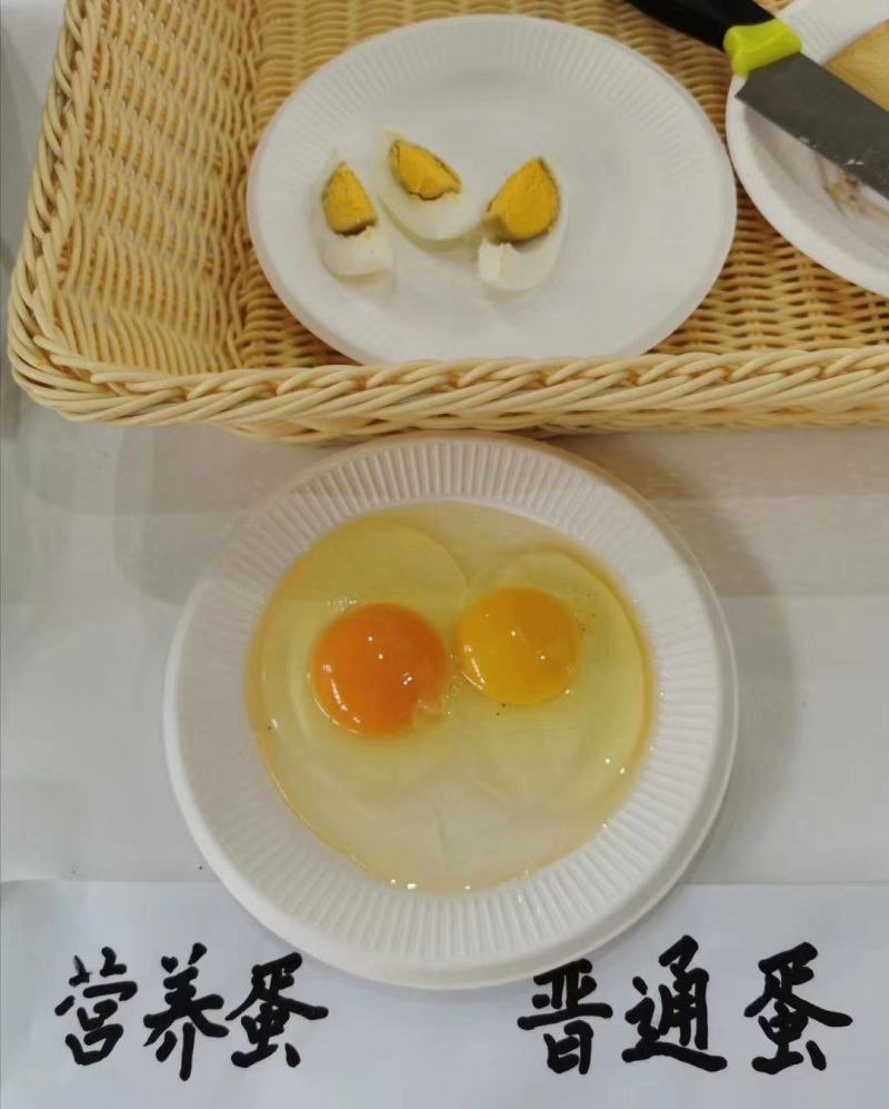 百凤珠虫草鸡蛋优质产品