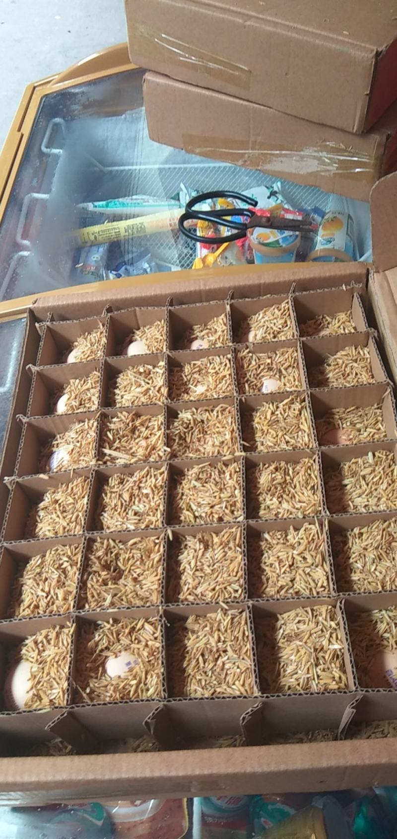 百凤珠虫草鸡蛋优质产品
