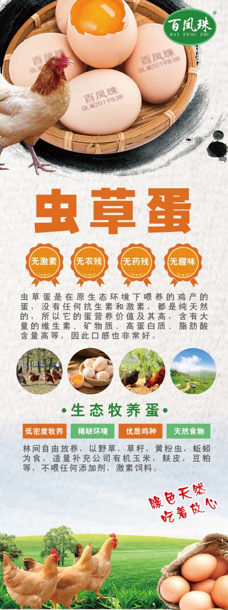 百凤珠虫草鸡蛋优质产品