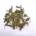 伸筋草顺筋草正品专营中药批发品质保证