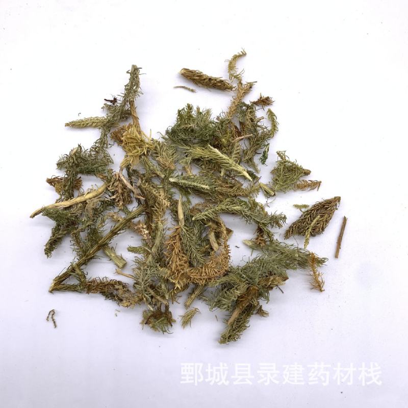 伸筋草顺筋草正品专营中药批发品质保证