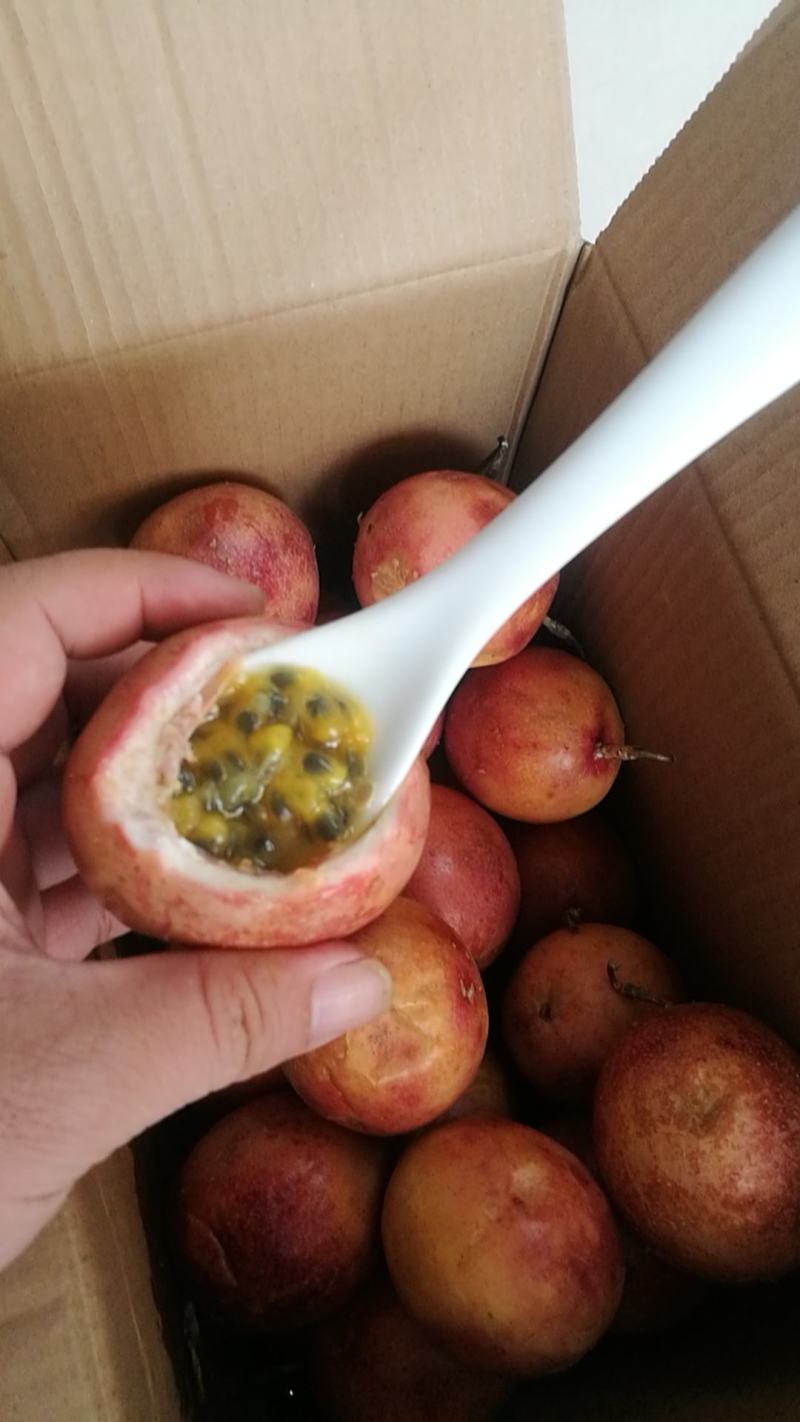 紫香一号百香果，顺丰包邮超爆款