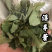 淫羊藿东北淫羊藿淫羊仙灵脾不掺假正品淫羊藿