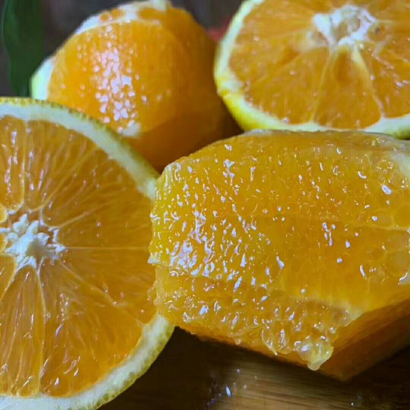 湖北夏橙宜昌夏橙口感九分甜，一分酸一手货源欢迎选购
