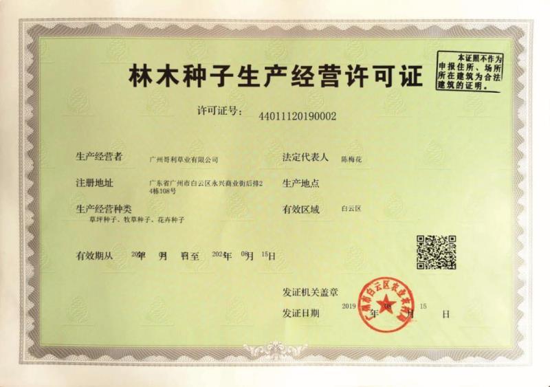 厂家直供可散批试种绿化结缕草台湾草裸种子技术指导种植量大
