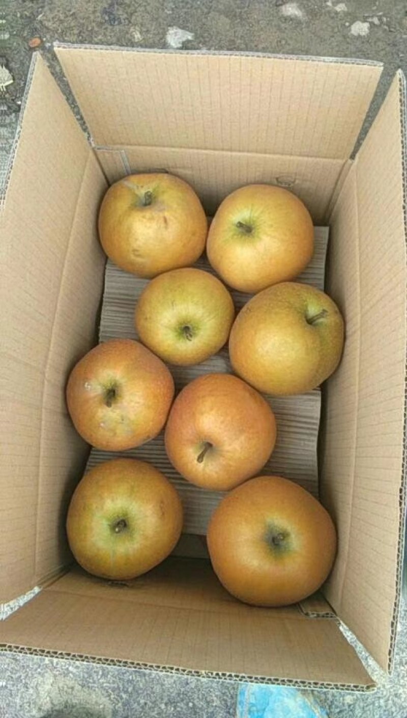黄花梨百年老树产地直发