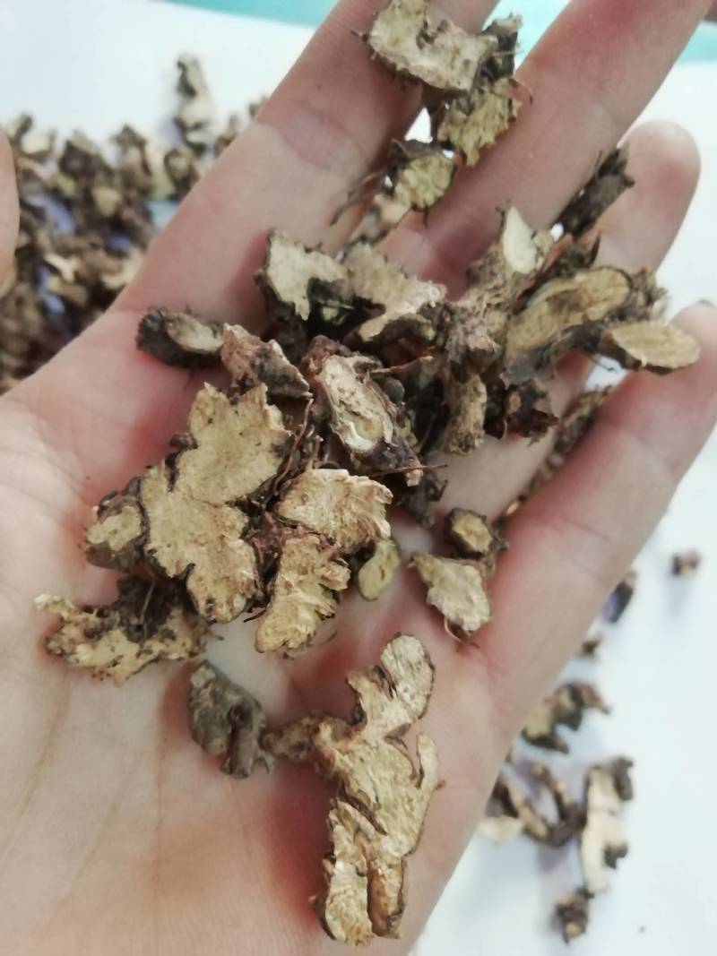 淫羊藿根，仙灵脾根羊藿根淫羊藿洋火叶根