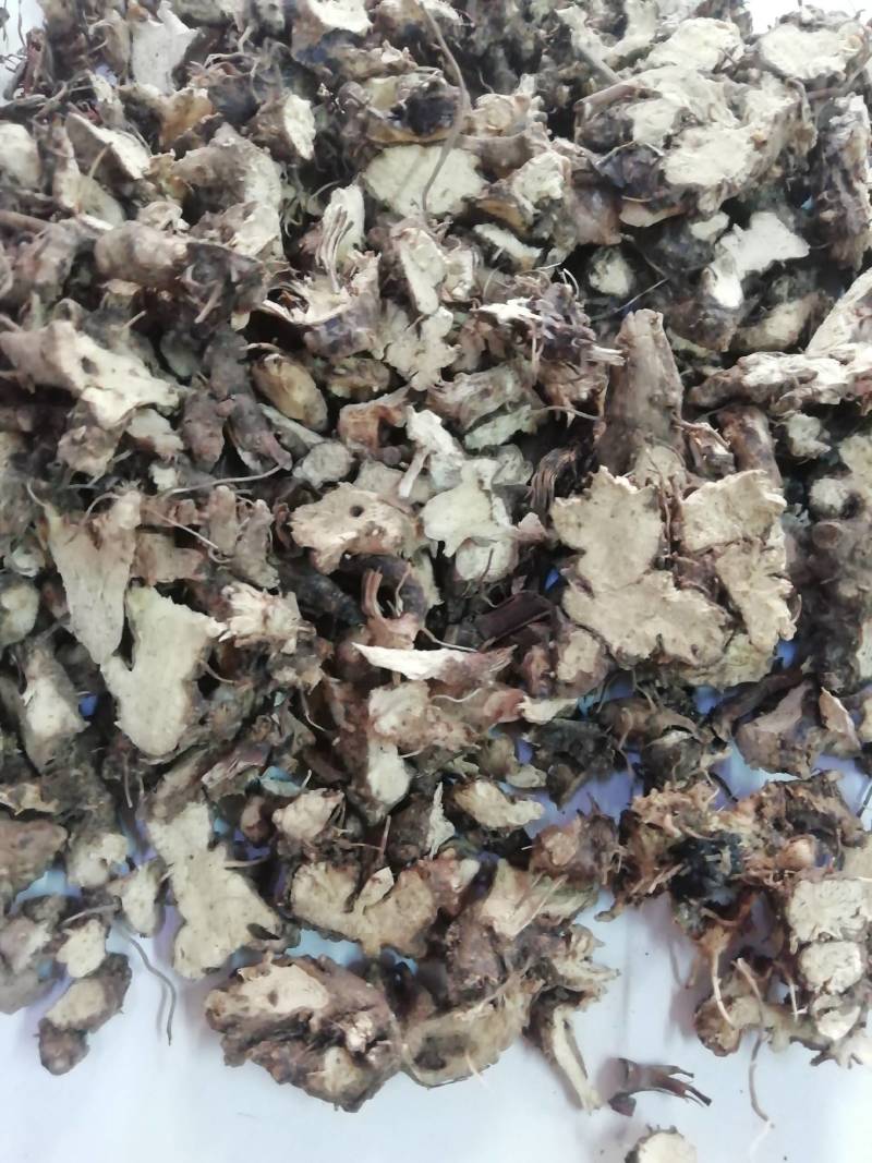 淫羊藿根，仙灵脾根羊藿根淫羊藿洋火叶根