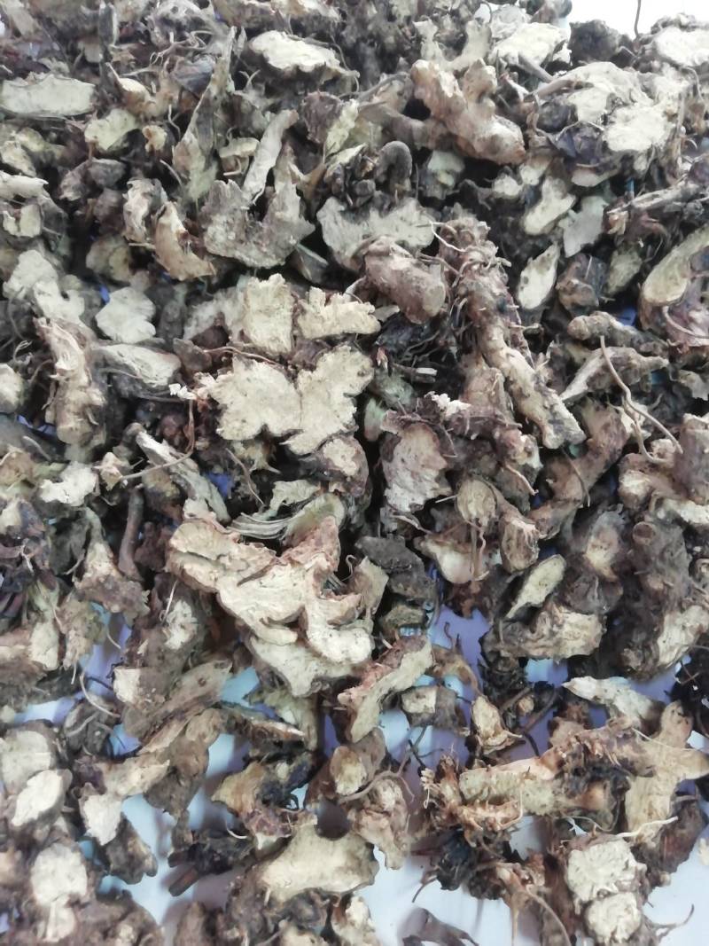 淫羊藿根，仙灵脾根羊藿根淫羊藿洋火叶根
