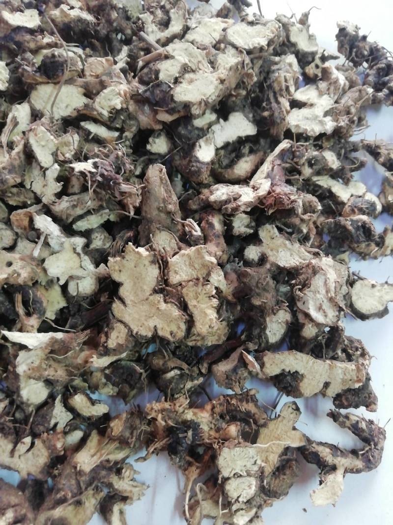 淫羊藿根，仙灵脾根羊藿根淫羊藿洋火叶根