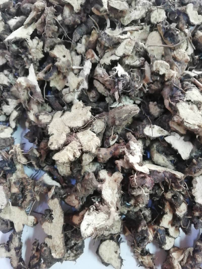 淫羊藿根，仙灵脾根羊藿根淫羊藿洋火叶根