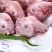 好产品，非兔肉不吃。