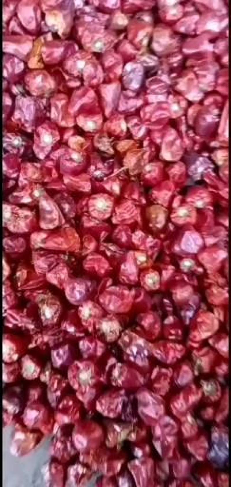 王记灯笼椒干辣椒辣度香辣前期