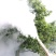 弥雾机烟雾机，单管双管弥打药机雾化打药机大棚打药机