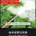 弥雾机烟雾机，单管双管弥打药机雾化打药机大棚打药机