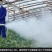 弥雾机烟雾机，单管双管弥打药机雾化打药机大棚打药机