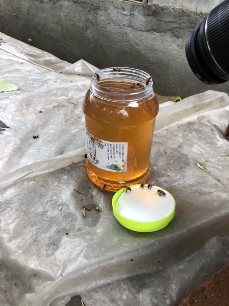 【一件代发】农家精品百花蜜自产自销纯野生百花蜜活动9.9