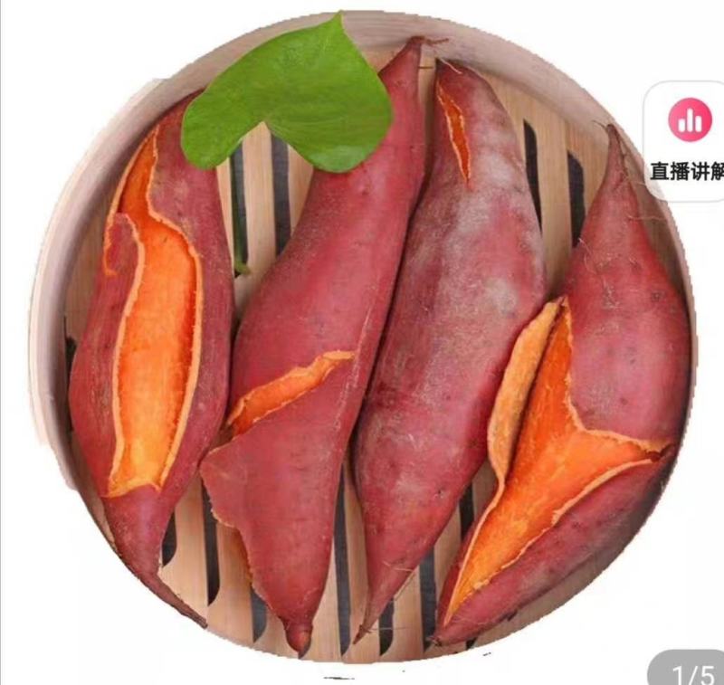 西瓜红红薯，星星西瓜红红苕