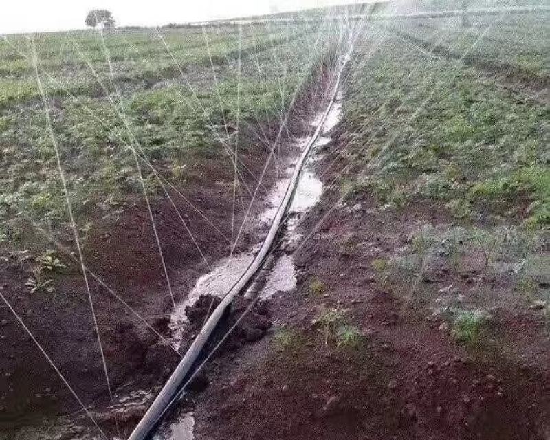 喷雾管造雾防晒降温除尘微喷带喷灌带洒水带软管农用节水灌溉
