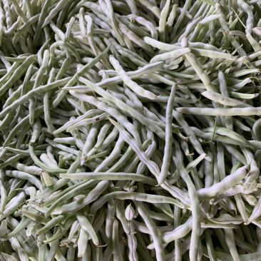 各种豆角大量上市，好通货。