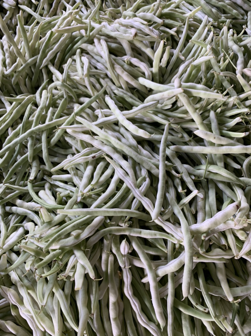 各种豆角大量上市，好通货。