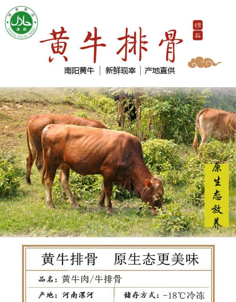 1原切新鲜黄牛腿肉牛腩牛腱子肉速冻包邮