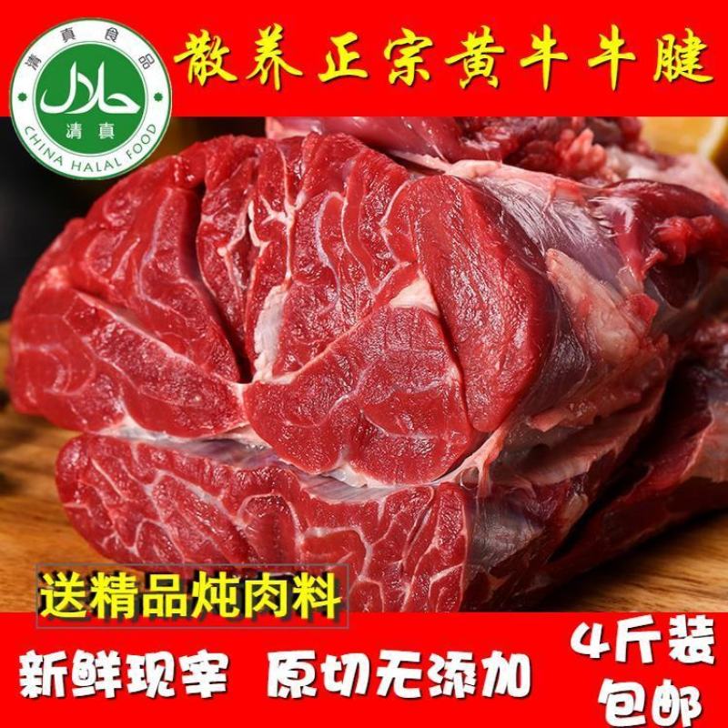 1原切新鲜黄牛腿肉牛腩牛腱子肉速冻包邮