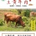 1原切新鲜黄牛腿肉牛腩牛腱子肉速冻包邮