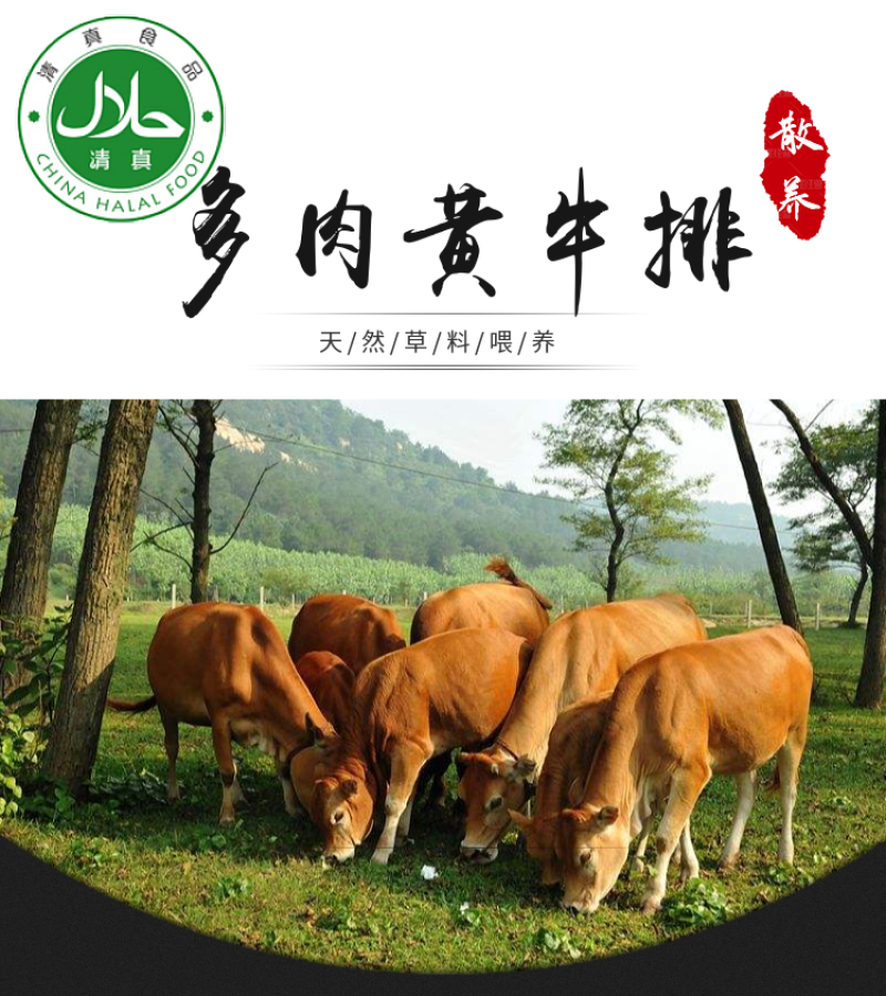 1原切新鲜黄牛腿肉牛腩牛腱子肉速冻包邮