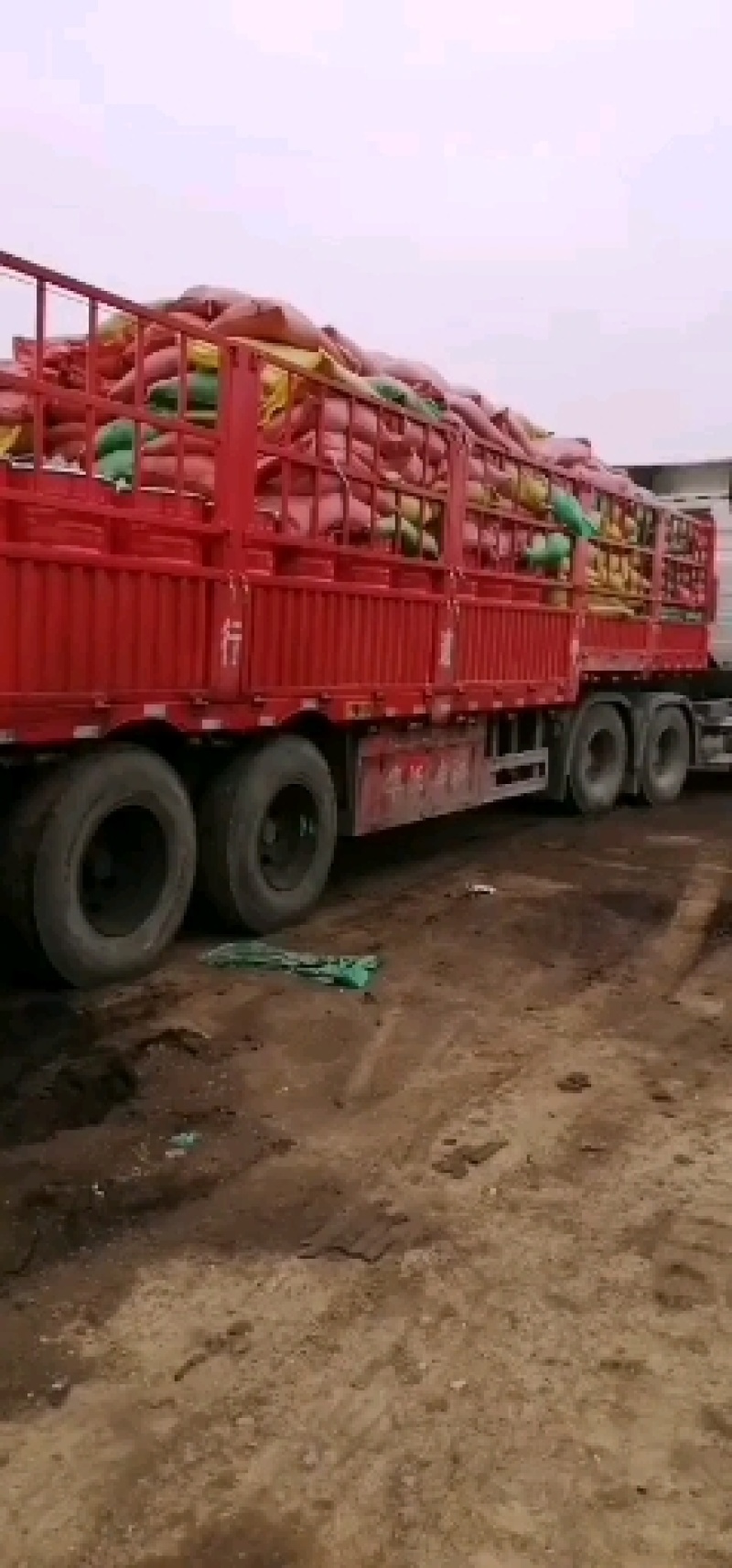 营养土草炭土发酵鸡粪肥料大量供应厂家直销