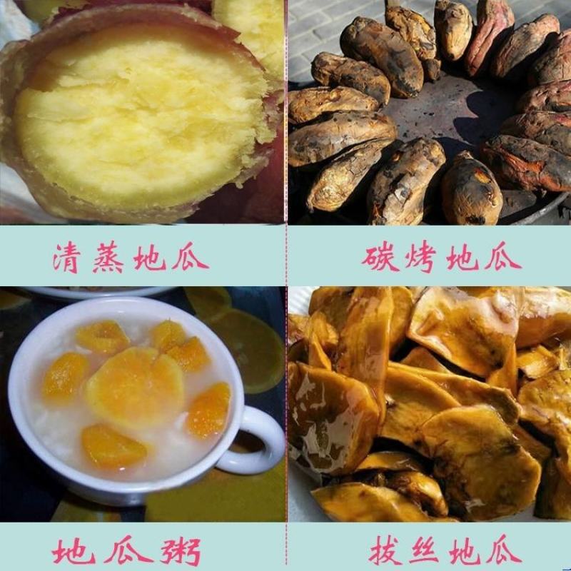 山东红薯澄迈桥头富硒地瓜有机板栗薯新鲜红薯烤番薯山芋5斤