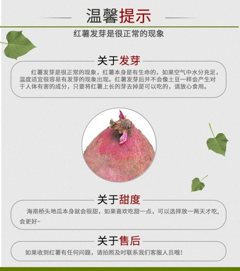 山东红薯澄迈桥头富硒地瓜有机板栗薯新鲜红薯烤番薯山芋5斤
