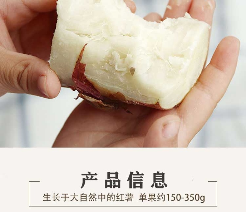 白心板栗薯新鲜农家自种沙地红薯粉糯干面甜香薯山芋地瓜番薯