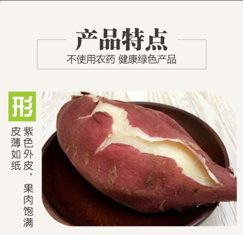 白心板栗薯新鲜农家自种沙地红薯粉糯干面甜香薯山芋地瓜番薯