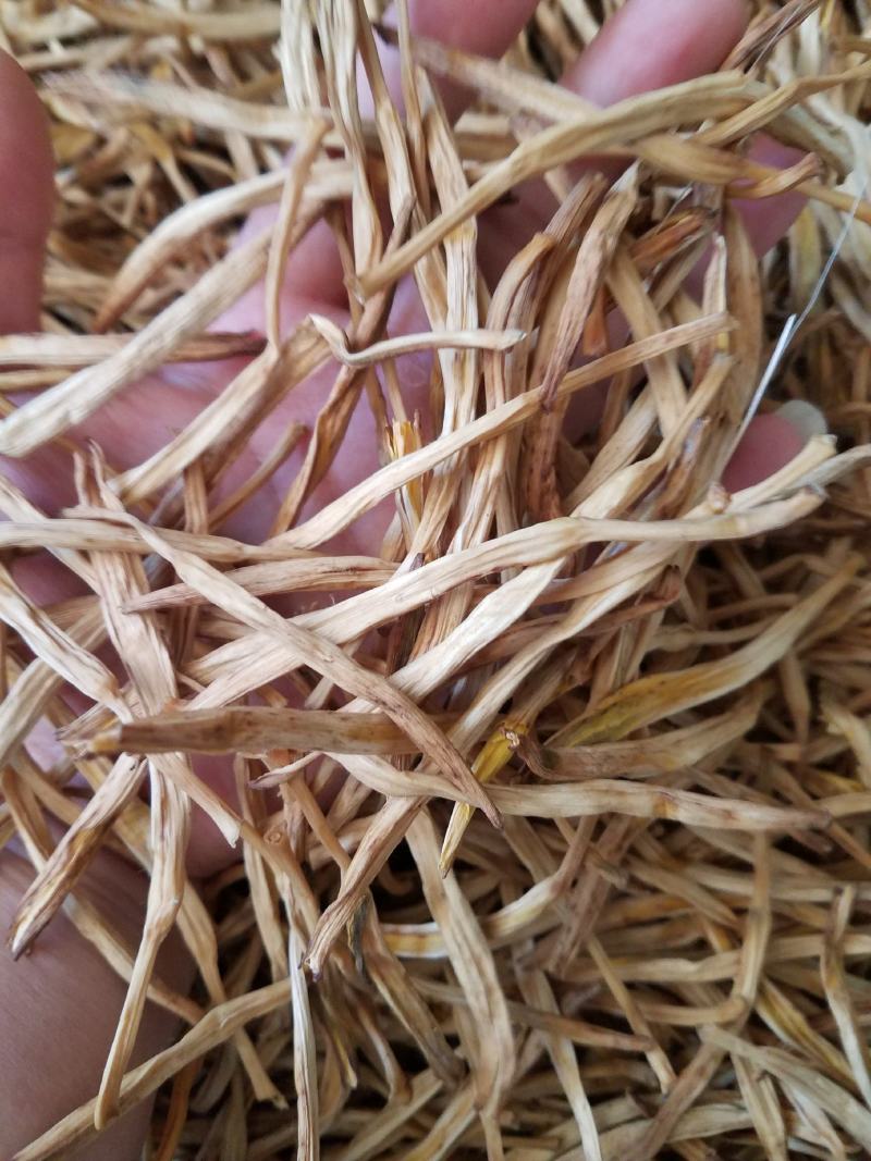 黄花菜山西黄花菜金针菜基地直销