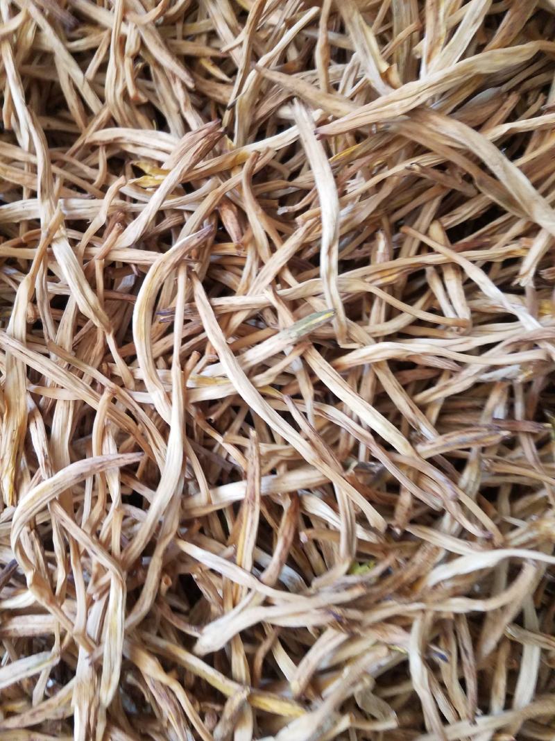 黄花菜山西黄花菜金针菜基地直销