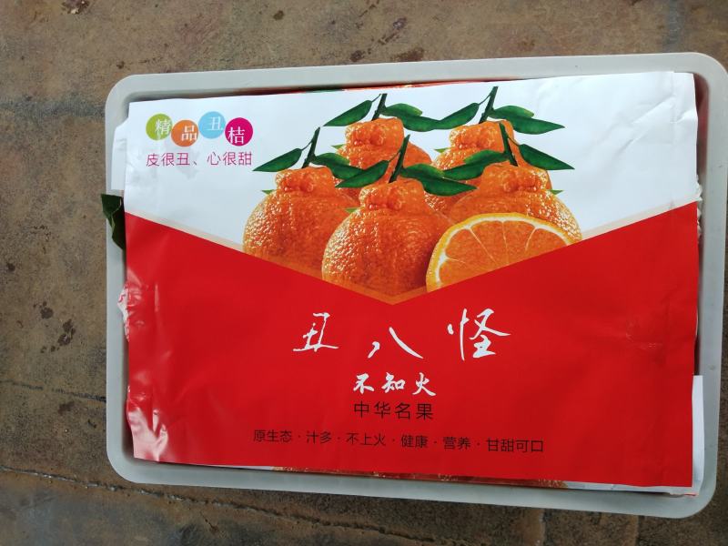 [精品]东江湖特早蜜橘已大量上市欢迎各位老板来采购