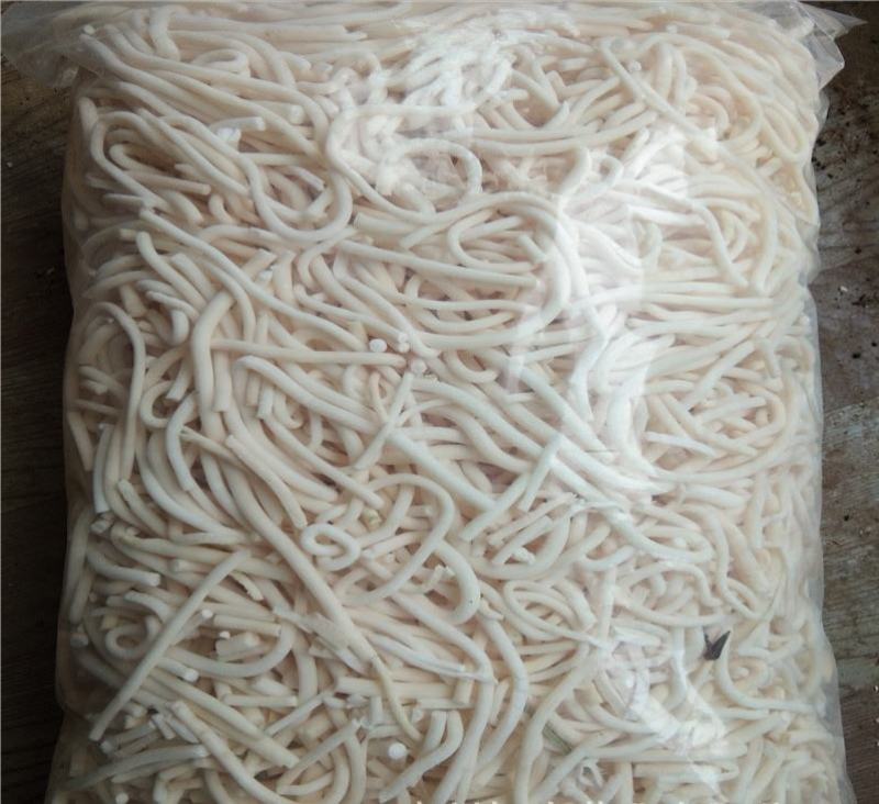 通草无硫净货通草规格齐全产地直销可供批发零售量大从优