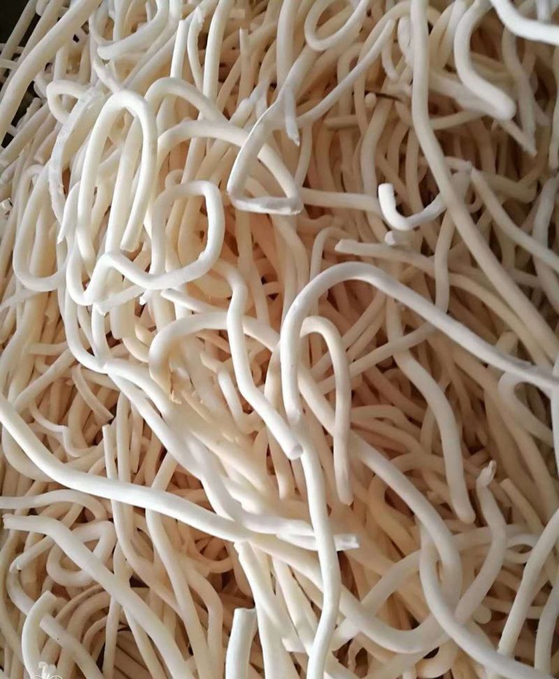 通草无硫净货通草规格齐全产地直销可供批发零售量大从优