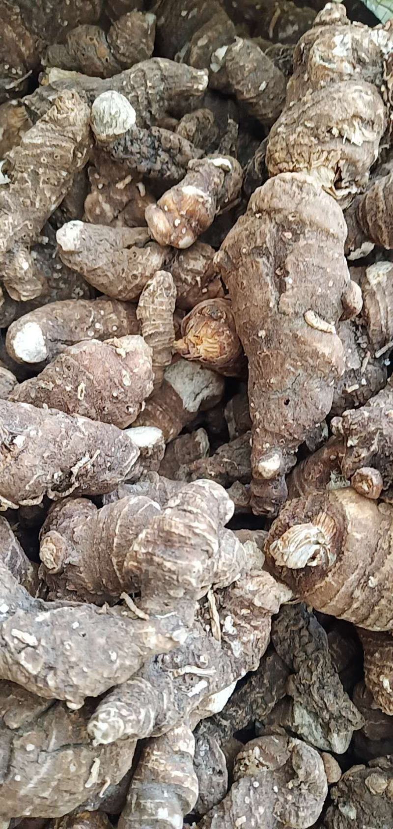 粉质精选华重楼，质量保证