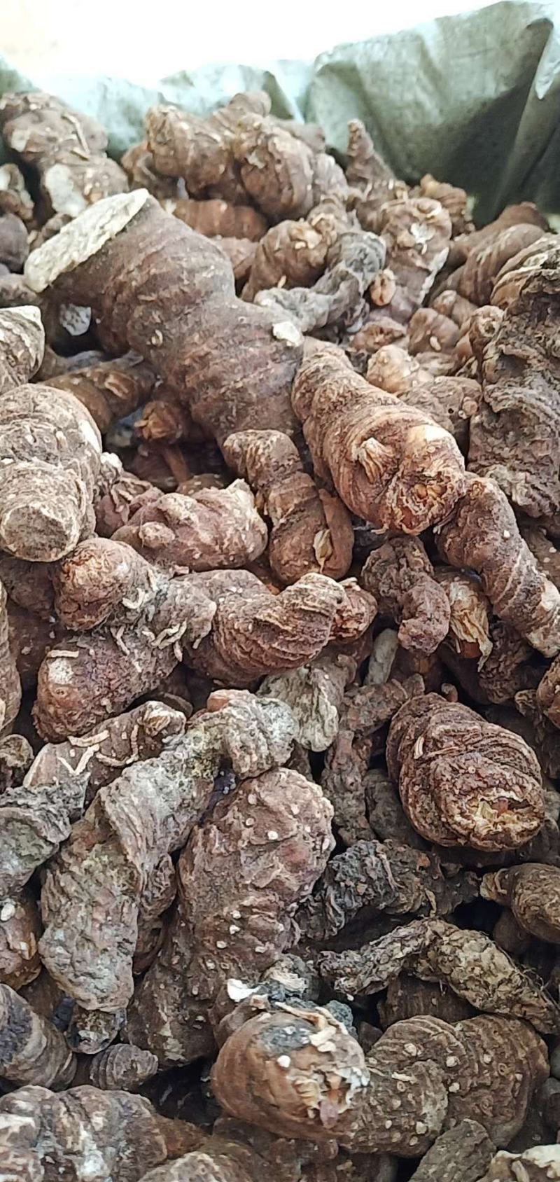 粉质精选华重楼，质量保证