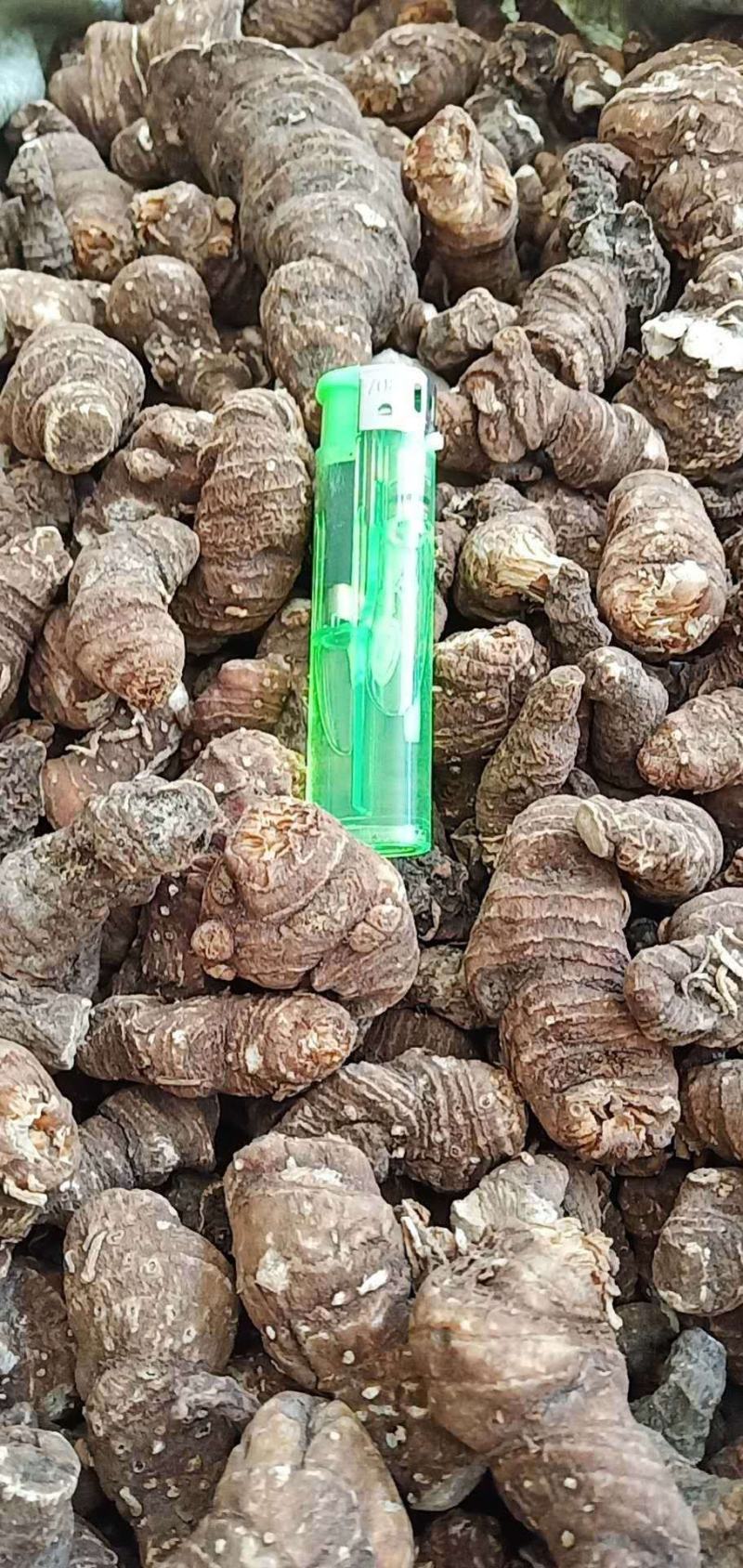 粉质精选华重楼，质量保证
