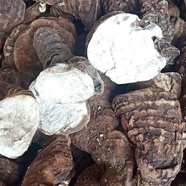 粉质精选华重楼,质量保证