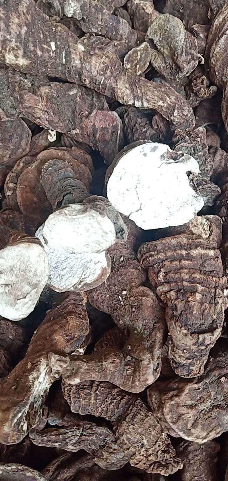 粉质精选华重楼，质量保证
