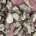 防己粉防己无硫磺熏蒸一公斤起批