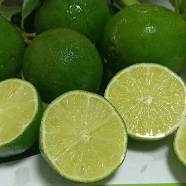 1无籽青柠檬园区供货质量保证：